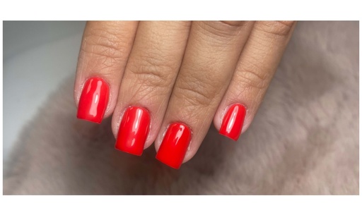 Pose Gel X - Taille S